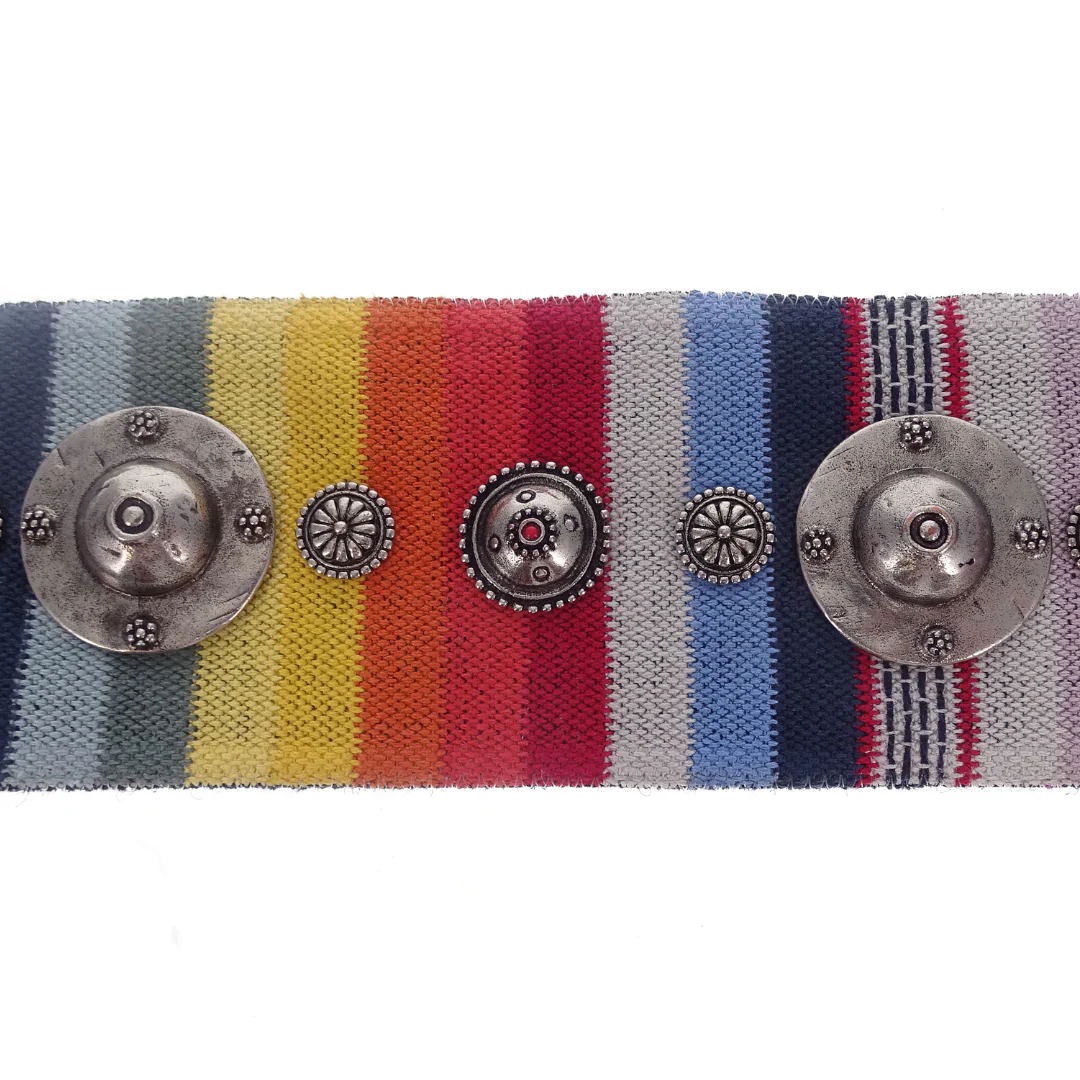 Dior Canvas Embroidered Studded Strap Multi Colour - Image 5