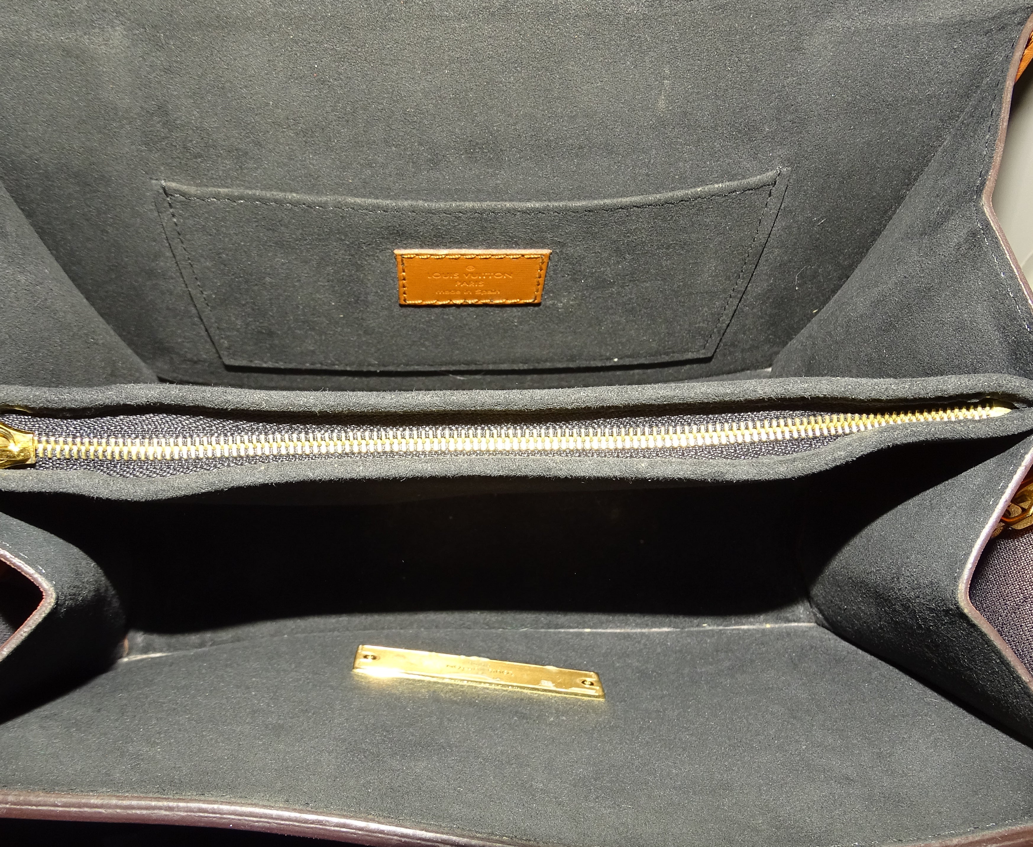 Louis Vuitton Dauphine MM Shoulder Bag - Image 12