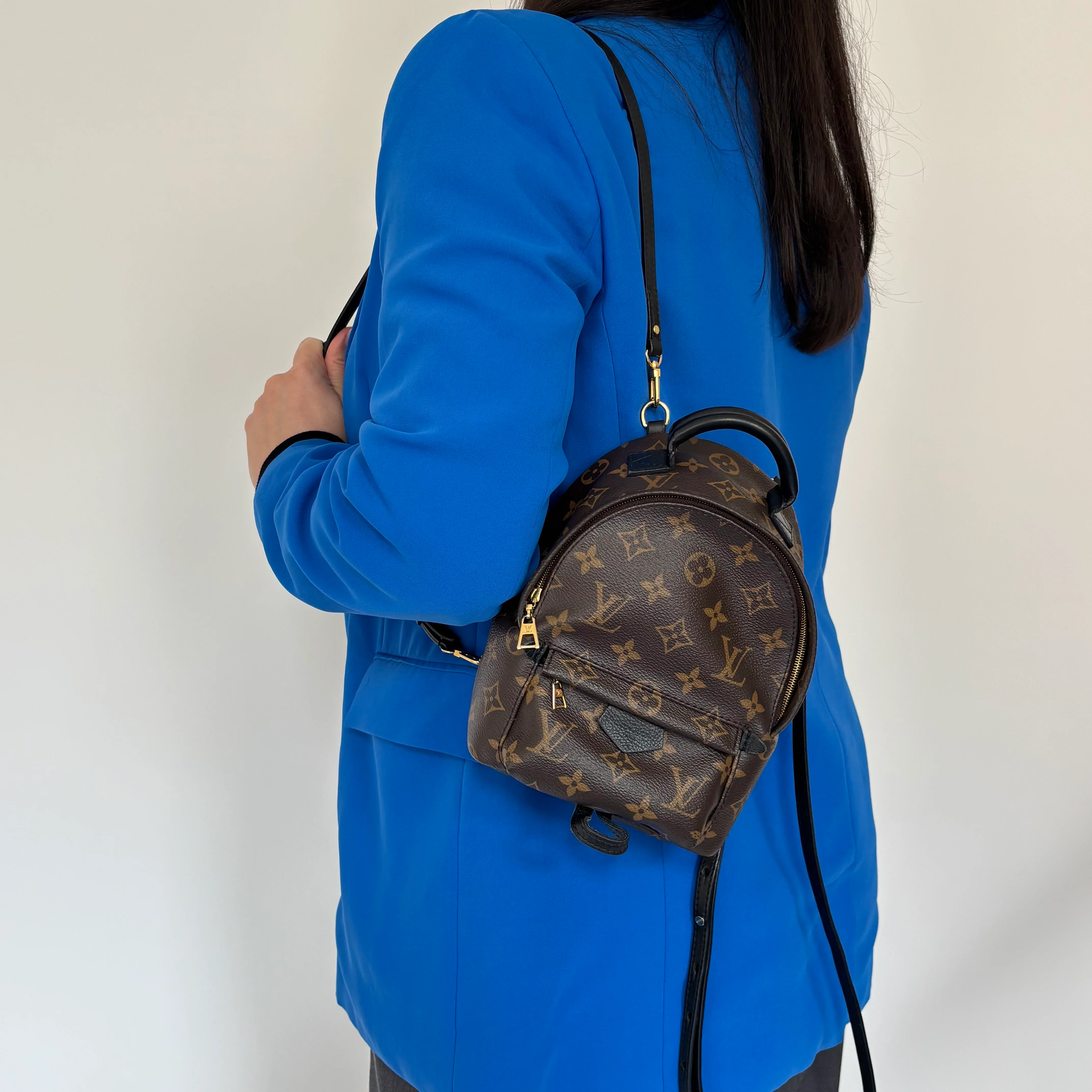 Louis Vuitton Monogram Mini Palm Springs Backpack - Image 2
