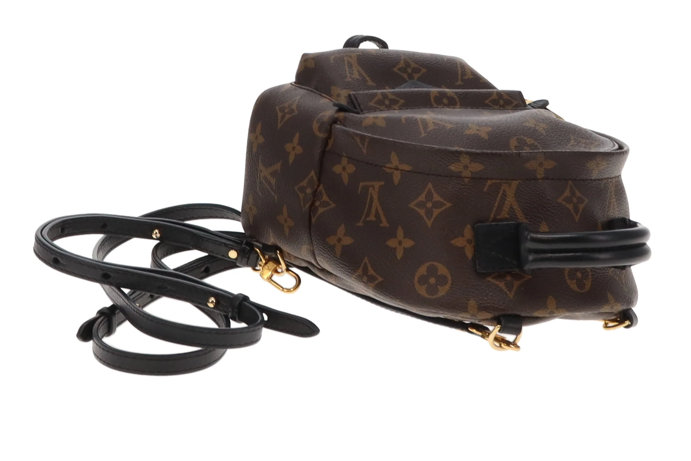 Louis Vuitton Monogram Mini Palm Springs Backpack - Image 8