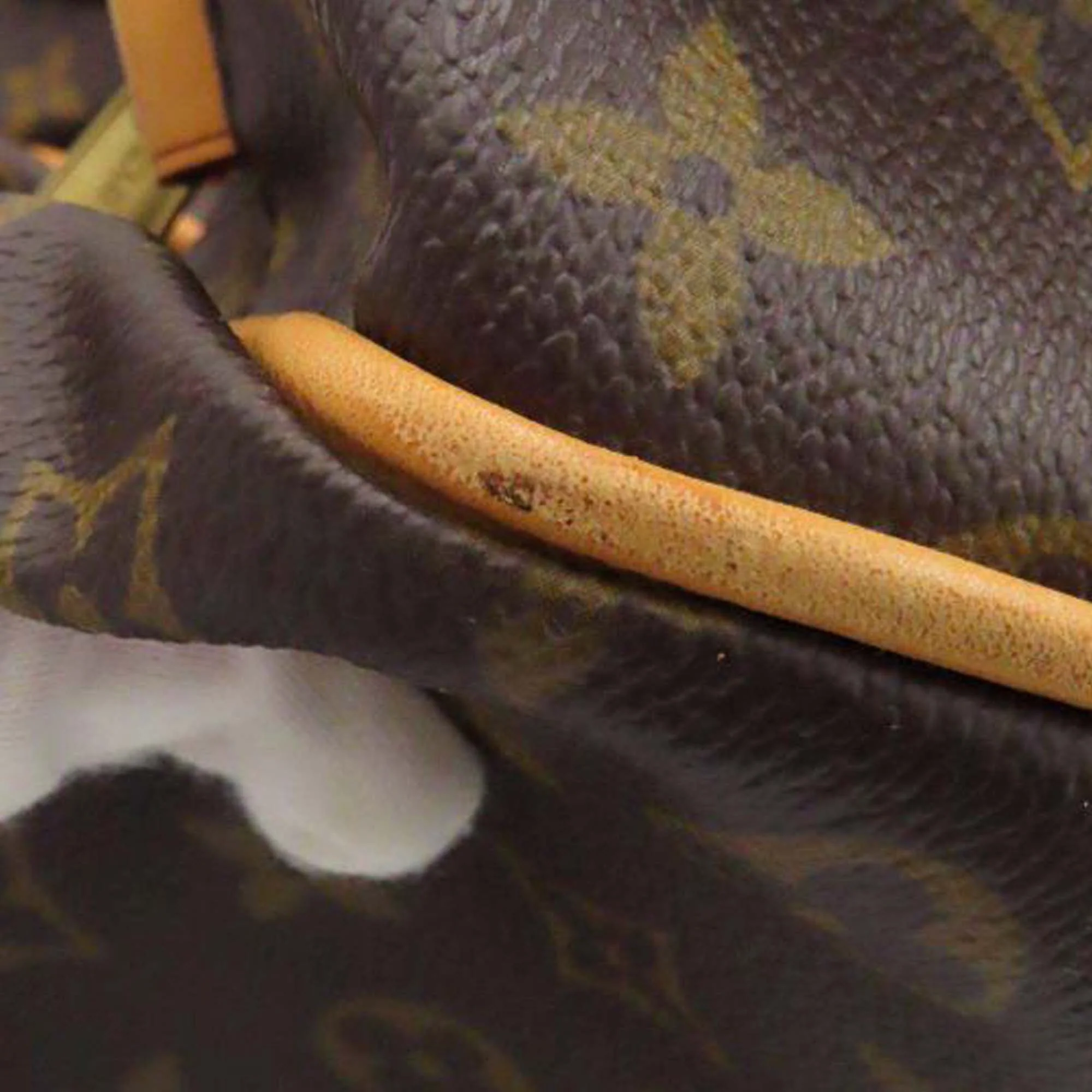 Louis Vuitton Sac Gymnastique Monogram - Image 19
